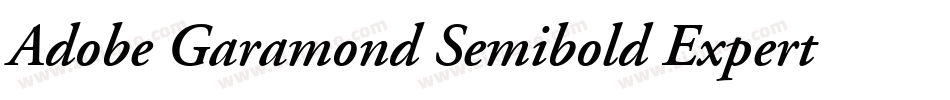 Adobe Garamond Semibold Expert字体转换